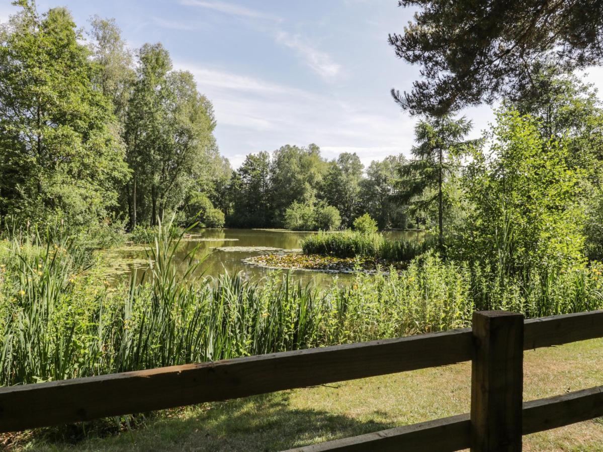 Lake View Lodge 斯卡伯勒 外观 照片